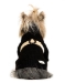 Noelle Belted Sweater - Black - ISP-noelle-blkX-QMC