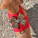 Nouveau Bow Bailey Harness- Jungle Prints Bow in Many Colors - sl-baileyjunglebow