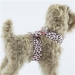 Nouveau Bow Tinkie Harness in Jungle Prints-Many Colors   - sl-junglecouturetinkienouv
