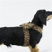 Nouveau Bow Tinkie Harness in Jungle Prints-Many Colors   - sl-junglecouturetinkienouv