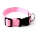 Nylon Webbing Collars & Leads-27 Colors - mg-nylonweb