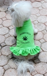 Organically Grown Flounce Dress or Tank wooflink, susan lanci, dog clothes, small dog clothes, urban pup, pooch outfitters, dogo, hip doggie, doggie design, small dog dress, pet clotes, dog boutique. pet boutique, bloomingtails dog boutique, dog raincoat, dog rain coat, pet raincoat, dog shampoo, pet shampoo, dog bathrobe, pet bathrobe, dog carrier, small dog carrier, doggie couture, pet couture, dog football, dog toys, pet toys, dog clothes sale, pet clothes sale, shop local, pet store, dog store, dog chews, pet chews, worthy dog, dog bandana, pet bandana, dog halloween, pet halloween, dog holiday, pet holiday, dog teepee, custom dog clothes, pet pjs, dog pjs, pet pajamas, dog pajamas,dog sweater, pet sweater, dog hat, fabdog, fab dog, dog puffer coat, dog winter jacket, dog col
