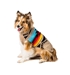 Painted Desert Southwest Dog Sweater    - cd-paintedesert-sweater