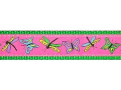 Papillon on Kelly Collar, Lead & Harness 1.25 inch  wooflink, susan lanci, dog clothes, small dog clothes, urban pup, pooch outfitters, dogo, hip doggie, doggie design, small dog dress, pet clotes, dog boutique. pet boutique, bloomingtails dog boutique, dog raincoat, dog rain coat, pet raincoat, dog shampoo, pet shampoo, dog bathrobe, pet bathrobe, dog carrier, small dog carrier, doggie couture, pet couture, dog football, dog toys, pet toys, dog clothes sale, pet clothes sale, shop local, pet store, dog store, dog chews, pet chews, worthy dog, dog bandana, pet bandana, dog halloween, pet halloween, dog holiday, pet holiday, dog teepee, custom dog clothes, pet pjs, dog pjs, pet pajamas, dog pajamas,dog sweater, pet sweater, dog hat, fabdog, fab dog, dog puffer coat, dog winter jacket, dog col