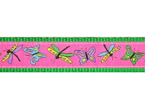 Papillon on Kelly Collar, Lead & Harness 3/4 inch  wooflink, susan lanci, dog clothes, small dog clothes, urban pup, pooch outfitters, dogo, hip doggie, doggie design, small dog dress, pet clotes, dog boutique. pet boutique, bloomingtails dog boutique, dog raincoat, dog rain coat, pet raincoat, dog shampoo, pet shampoo, dog bathrobe, pet bathrobe, dog carrier, small dog carrier, doggie couture, pet couture, dog football, dog toys, pet toys, dog clothes sale, pet clothes sale, shop local, pet store, dog store, dog chews, pet chews, worthy dog, dog bandana, pet bandana, dog halloween, pet halloween, dog holiday, pet holiday, dog teepee, custom dog clothes, pet pjs, dog pjs, pet pajamas, dog pajamas,dog sweater, pet sweater, dog hat, fabdog, fab dog, dog puffer coat, dog winter jacket, dog col