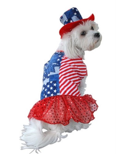 Patriotic Dog Dress & Hat wooflink, susan lanci, dog clothes, small dog clothes, urban pup, pooch outfitters, dogo, hip doggie, doggie design, small dog dress, pet clotes, dog boutique. pet boutique, bloomingtails dog boutique, dog raincoat, dog rain coat, pet raincoat, dog shampoo, pet shampoo, dog bathrobe, pet bathrobe, dog carrier, small dog carrier, doggie couture, pet couture, dog football, dog toys, pet toys, dog clothes sale, pet clothes sale, shop local, pet store, dog store, dog chews, pet chews, worthy dog, dog bandana, pet bandana, dog halloween, pet halloween, dog holiday, pet holiday, dog teepee, custom dog clothes, pet pjs, dog pjs, pet pajamas, dog pajamas,dog sweater, pet sweater, dog hat, fabdog, fab dog, dog puffer coat, dog winter jacket, dog col