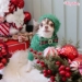 Perfect Holiday Beret - wf-perfectberet