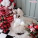 Perfect Holiday Dress  - wf-perfectholidaydress