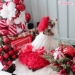 Perfect Holiday Dress  - wf-perfectholidaydress