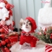 Perfect Holiday Sweater - wf-perfectholidaysweater