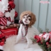 Perfect Holiday Turtleneck - wf-holidayturtleneck