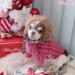 Perfect Holiday Turtleneck - wf-holidayturtleneck