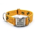 Personalized Busy Bees Polyester Collar & Lead - fdc-busybees