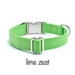 Personalized Collar & Lead in Lime Zest - fdc-limez