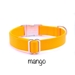 Personalized Collar & Lead in Mango - fdc-mango