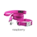 Personalized Collar & Lead in Rippin Raspberry - fdc-raspberry