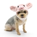 Piggy Hat  - dogo-piggy-hat
