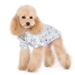 Pineapple Dog Shirt in Lots of Colors - dgo-pineapple