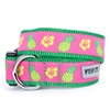 Pineapples Dog Collar & Lead    pet clothes, dog clothes, puppy clothes, pet store, dog store, puppy boutique store, dog boutique, pet boutique, puppy boutique, Bloomingtails, dog, small dog clothes, large dog clothes, large dog costumes, small dog costumes, pet stuff, Halloween dog, puppy Halloween, pet Halloween, clothes, dog puppy Halloween, dog sale, pet sale, puppy sale, pet dog tank, pet tank, pet shirt, dog shirt, puppy shirt,puppy tank, I see spot, dog collars, dog leads, pet collar, pet lead,puppy collar, puppy lead, dog toys, pet toys, puppy toy, dog beds, pet beds, puppy bed,  beds,dog mat, pet mat, puppy mat, fab dog pet sweater, dog sweater, dog winter, pet winter,dog raincoat, pet raincoat, dog harness, puppy harness, pet harness, dog collar, dog lead, pet l