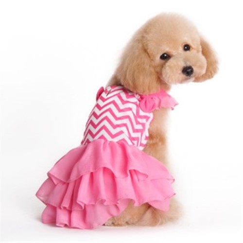 Pink Chevron Dog Dress puppy bed,  beds,dog mat, pet mat, puppy mat, fab dog pet sweater, dog swepet clothes, dog clothes, puppy clothes, pet store, dog store, puppy boutique store, dog boutique, pet boutique, puppy boutique, Bloomingtails, dog, small dog clothes, large dog clothes, large dog costumes, small dog costumes, pet stuff, Halloween dog, puppy Halloween, pet Halloween, clothes, dog puppy Halloween, dog sale, pet sale, puppy sale, pet dog tank, pet tank, pet shirt, dog shirt, puppy shirt,puppy tank, I see spot, dog collars, dog leads, pet collar, pet lead,puppy collar, puppy lead, dog toys, pet toys, puppy toy, dog beds, pet beds, puppy bed,  beds,dog mat, pet mat, puppy mat, fab dog pet sweater, dog sweater, dog winter, pet winter,dog raincoat, pet rain
