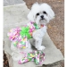 Pink Hawaiian Floral Dog Dress with Matching Leash   - dd-hawaiifloral