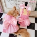 Pink Lady  - wf-pinklady