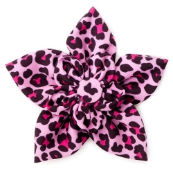 Pink Leopard Collar Flower    Roxy & Lulu, wooflink, susan lanci, dog clothes, small dog clothes, urban pup, pooch outfitters, dogo, hip doggie, doggie design, small dog dress, pet clotes, dog boutique. pet boutique, bloomingtails dog boutique, dog raincoat, dog rain coat, pet raincoat, dog shampoo, pet shampoo, dog bathrobe, pet bathrobe, dog carrier, small dog carrier, doggie couture, pet couture, dog football, dog toys, pet toys, dog clothes sale, pet clothes sale, shop local, pet store, dog store, dog chews, pet chews, worthy dog, dog bandana, pet bandana, dog halloween, pet halloween, dog holiday, pet holiday, dog teepee, custom dog clothes, pet pjs, dog pjs, pet pajamas, dog pajamas,dog sweater, pet sweater, dog hat, fabdog, fab dog, dog puffer coat, dog winter ja