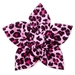 Pink Leopard Collar Flower    - wd-pinkleopardcollarflower