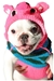 Pink Piggy Hoodie Dog Sweater      - cd-pinkpig