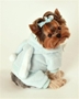 Plush  Bunny Dog Jumper in Pink or Blue wooflink, susan lanci, dog clothes, small dog clothes, urban pup, pooch outfitters, dogo, hip doggie, doggie design, small dog dress, pet clotes, dog boutique. pet boutique, bloomingtails dog boutique, dog raincoat, dog rain coat, pet raincoat, dog shampoo, pet shampoo, dog bathrobe, pet bathrobe, dog carrier, small dog carrier, doggie couture, pet couture, dog football, dog toys, pet toys, dog clothes sale, pet clothes sale, shop local, pet store, dog store, dog chews, pet chews, worthy dog, dog bandana, pet bandana, dog halloween, pet halloween, dog holiday, pet holiday, dog teepee, custom dog clothes, pet pjs, dog pjs, pet pajamas, dog pajamas,dog sweater, pet sweater, dog hat, fabdog, fab dog, dog puffer coat, dog winter jacket, dog col