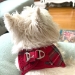 Plush Step In Dog Harness Vest in Plaid Red - pl-pinkcamo-vest-clone1X-LHD