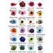 Poppy Dog Collar Flower - 24 Colors! - mg-poppy