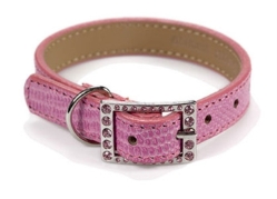 Posh Pink Lizard Dog Collar with Swarovski Crystal Buckle beds, puppy bed,  beds,dog mat, pet mat, puppy mat, fab dog pet sweater, dog swepet clothes, dog clothes, puppy clothes, pet store, dog store, puppy boutique store, dog boutique, pet boutique, puppy boutique, Bloomingtails, dog, small dog clothes, large dog clothes, large dog costumes, small dog costumes, pet stuff, Halloween dog, puppy Halloween, pet Halloween, clothes, dog puppy Halloween, dog sale, pet sale, puppy sale, pet dog tank, pet tank, pet shirt, dog shirt, puppy shirt,puppy tank, I see spot, dog collars, dog leads, pet collar, pet lead,puppy collar, puppy lead, dog toys, pet toys, puppy toy, dog beds, pet beds, puppy bed,  beds,dog mat, pet mat, puppy mat, fab dog pet sweater, dog sweater, dog winter, pet winter,dog raincoat, pe