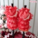 Pretty Thing by Wooflink - wf-prettything