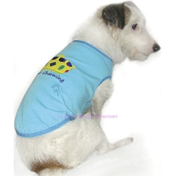 Prince Charming Tee - Truly Oscar wooflink, susan lanci, dog clothes, small dog clothes, urban pup, pooch outfitters, dogo, hip doggie, doggie design, small dog dress, pet clotes, dog boutique. pet boutique, bloomingtails dog boutique, dog raincoat, dog rain coat, pet raincoat, dog shampoo, pet shampoo, dog bathrobe, pet bathrobe, dog carrier, small dog carrier, doggie couture, pet couture, dog football, dog toys, pet toys, dog clothes sale, pet clothes sale, shop local, pet store, dog store, dog chews, pet chews, worthy dog, dog bandana, pet bandana, dog halloween, pet halloween, dog holiday, pet holiday, dog teepee, custom dog clothes, pet pjs, dog pjs, pet pajamas, dog pajamas,dog sweater, pet sweater, dog hat, fabdog, fab dog, dog puffer coat, dog winter jacket, dog col