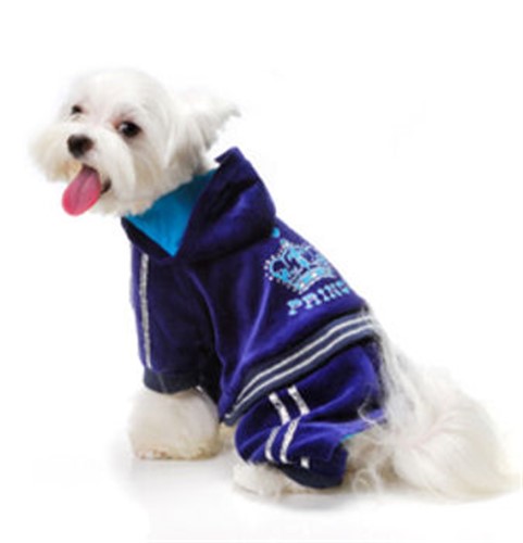 Prince Dog Jumper wooflink, susan lanci, dog clothes, small dog clothes, urban pup, pooch outfitters, dogo, hip doggie, doggie design, small dog dress, pet clotes, dog boutique. pet boutique, bloomingtails dog boutique, dog raincoat, dog rain coat, pet raincoat, dog shampoo, pet shampoo, dog bathrobe, pet bathrobe, dog carrier, small dog carrier, doggie couture, pet couture, dog football, dog toys, pet toys, dog clothes sale, pet clothes sale, shop local, pet store, dog store, dog chews, pet chews, worthy dog, dog bandana, pet bandana, dog halloween, pet halloween, dog holiday, pet holiday, dog teepee, custom dog clothes, pet pjs, dog pjs, pet pajamas, dog pajamas,dog sweater, pet sweater, dog hat, fabdog, fab dog, dog puffer coat, dog winter jacket, dog col