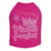Princess of Everything in Lots of Colors   - dic-princesseverything