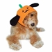 Pumpkin Dog Hat - dgo-pumphatX-PMM