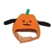 Pumpkin Dog Hat - dgo-pumphatX-PMM