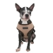 Puppia Soft Dog Harness - pupia-soft-harnes