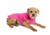 Pure Cashmere Sweaters in Many Colors - cs-cashmere