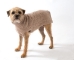 Pure Cashmere Sweaters in Many Colors - cs-cashmere