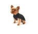 Pure Cashmere Sweaters in Many Colors - cs-cashmere