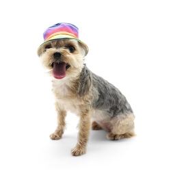 Rainbow Bucket Hat  Roxy & Lulu, wooflink, susan lanci, dog clothes, small dog clothes, airbuggy, pooch outfitters, dogo, hip doggie, doggie design, small dog dress, pet clotes, dog boutique. pet boutique, bloomingtails dog boutique, dog raincoat, dog rain coat, pet raincoat, dog shampoo, pet shampoo, dog bathrobe, pet bathrobe, dog carrier, small dog carrier, doggie couture, pet couture, dog football, dog toys, pet toys, dog clothes sale, pet clothes sale, shop local, pet store, dog store, dog chews, pet chews, worthy dog, dog bandana, pet bandana, dog halloween, pet halloween, dog holiday, pet holiday, dog teepee, custom dog clothes, pet pjs, dog pjs, pet pajamas, dog pajamas,dog sweater, pet sweater, dog hat, fabdog, fab dog, dog puffer coat, dog winter ja