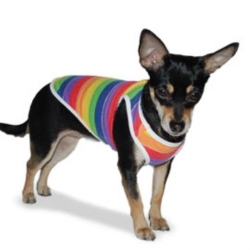 Rainbow Dog Tank puppy bed,  beds,dog mat, pet mat, puppy mat, fab dog pet sweater, dog swepet clothes, dog clothes, puppy clothes, pet store, dog store, puppy boutique store, dog boutique, pet boutique, puppy boutique, Bloomingtails, dog, small dog clothes, large dog clothes, large dog costumes, small dog costumes, pet stuff, Halloween dog, puppy Halloween, pet Halloween, clothes, dog puppy Halloween, dog sale, pet sale, puppy sale, pet dog tank, pet tank, pet shirt, dog shirt, puppy shirt,puppy tank, I see spot, dog collars, dog leads, pet collar, pet lead,puppy collar, puppy lead, dog toys, pet toys, puppy toy, dog beds, pet beds, puppy bed,  beds,dog mat, pet mat, puppy mat, fab dog pet sweater, dog sweater, dog winter, pet winter,dog raincoat, pet rain