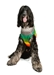 Rainbow Mohawk Dog Sweater  - cd-rainbow-sweater