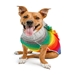 Rainbow Mohawk Dog Sweater  - cd-rainbow-sweater