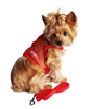 Red  Cool Mesh Dog Harness with Leash  wooflink, susan lanci, dog clothes, small dog clothes, urban pup, pooch outfitters, dogo, hip doggie, doggie design, small dog dress, pet clotes, dog boutique. pet boutique, bloomingtails dog boutique, dog raincoat, dog rain coat, pet raincoat, dog shampoo, pet shampoo, dog bathrobe, pet bathrobe, dog carrier, small dog carrier, doggie couture, pet couture, dog football, dog toys, pet toys, dog clothes sale, pet clothes sale, shop local, pet store, dog store, dog chews, pet chews, worthy dog, dog bandana, pet bandana, dog halloween, pet halloween, dog holiday, pet holiday, dog teepee, custom dog clothes, pet pjs, dog pjs, pet pajamas, dog pajamas,dog sweater, pet sweater, dog hat, fabdog, fab dog, dog puffer coat, dog winter jacket, dog col