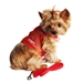 Red  Cool Mesh Dog Harness with Leash  - dd-red-harness
