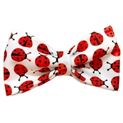 Red Ladybugs Bowtie  wooflink, susan lanci, dog clothes, small dog clothes, urban pup, pooch outfitters, dogo, hip doggie, doggie design, small dog dress, pet clotes, dog boutique. pet boutique, bloomingtails dog boutique, dog raincoat, dog rain coat, pet raincoat, dog shampoo, pet shampoo, dog bathrobe, pet bathrobe, dog carrier, small dog carrier, doggie couture, pet couture, dog football, dog toys, pet toys, dog clothes sale, pet clothes sale, shop local, pet store, dog store, dog chews, pet chews, worthy dog, dog bandana, pet bandana, dog halloween, pet halloween, dog holiday, pet holiday, dog teepee, custom dog clothes, pet pjs, dog pjs, pet pajamas, dog pajamas,dog sweater, pet sweater, dog hat, fabdog, fab dog, dog puffer coat, dog winter jacket, dog col
